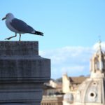 #500NatureChallenge: Fiat invita a testimoniare il nuovo equilibrio uomo-natura