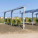 Agrivoltaico: al via impianto hitech ENEA/EF Solare Italia in Calabria