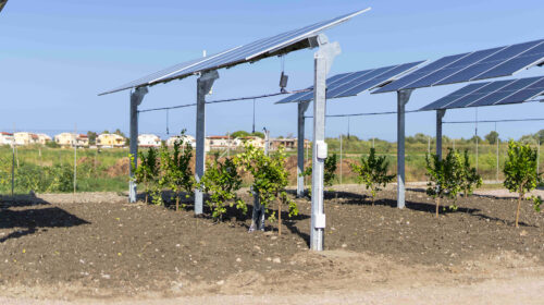 Agrivoltaico: al via impianto hitech ENEA/EF Solare Italia in Calabria